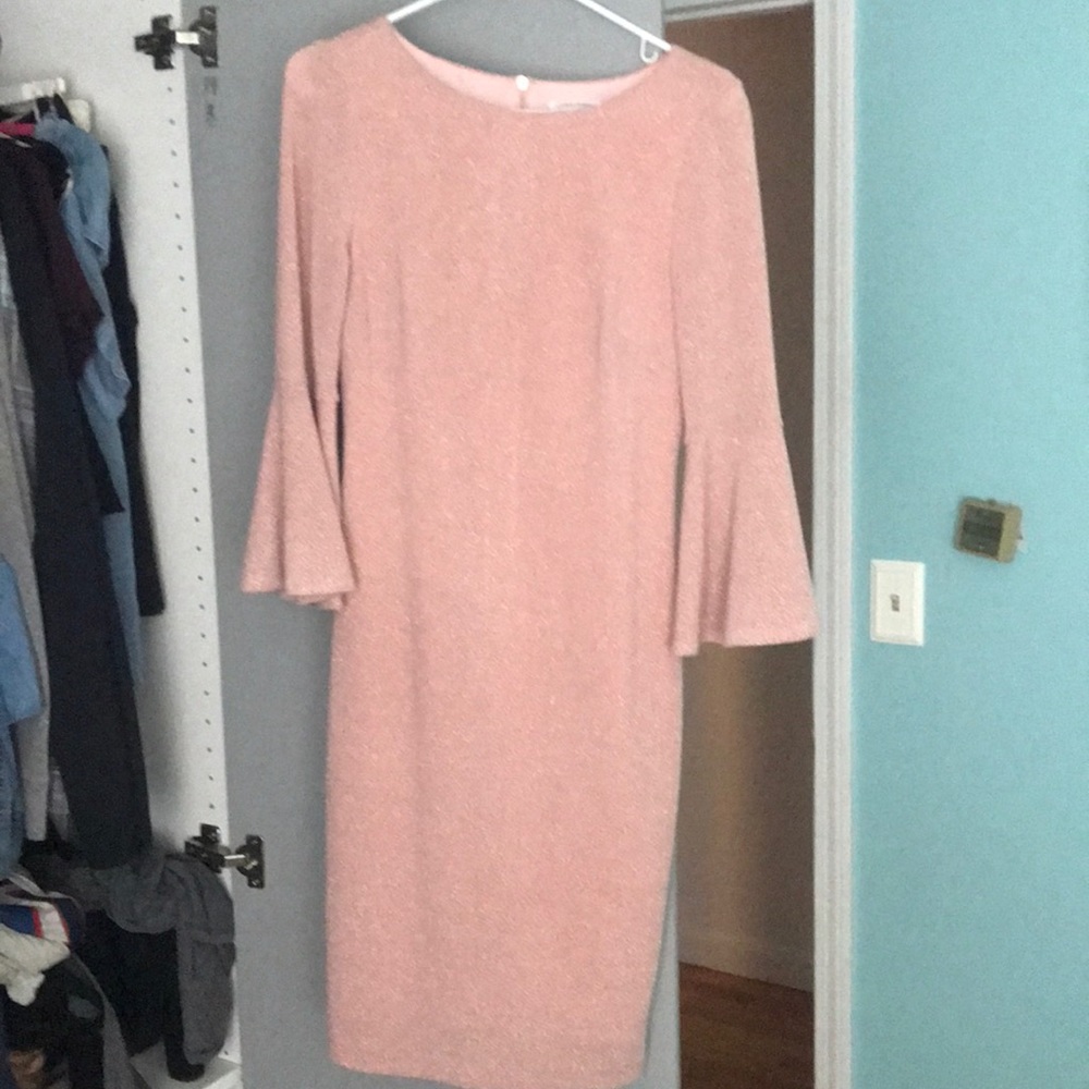 Calvin Klein Rose Sparkle Dress